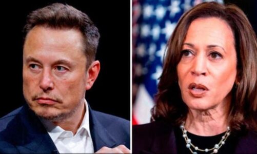 elon musk sulmon kamala harris eshte komuniste