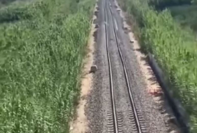 hekurudha tirane durres meta publikon videon ketu mund te kaloje gjarpri por jo treni