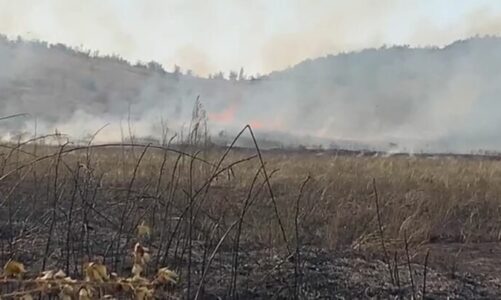 lezhe perfshihen nga flaket kater fshatra te zadrimes zjarri i perhapur me shpejtesi per shkak te eres rrezikon banesat