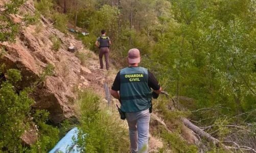 mbollen kanabis ne pyll arrestohet 44 vjecari shqiptar ne spanje ne kerkim bashkepunetori i tij