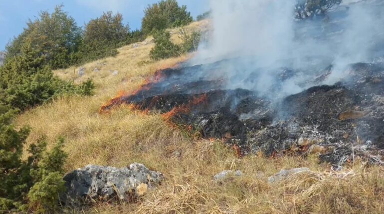 ndezen zjarre per te pastruar kullotat e tyre dhe si pasoje u dogjen rreth 3 ha toke vihen nen hetim dy persona ne diber