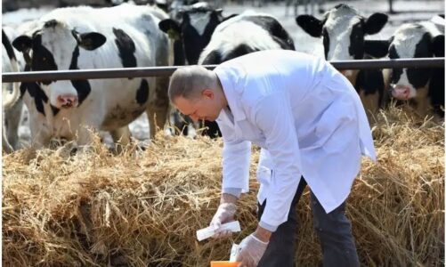 panik nga murtaja qe ka shperthyer ne vendin fqinj ngrihet task force per monitorimin e situates