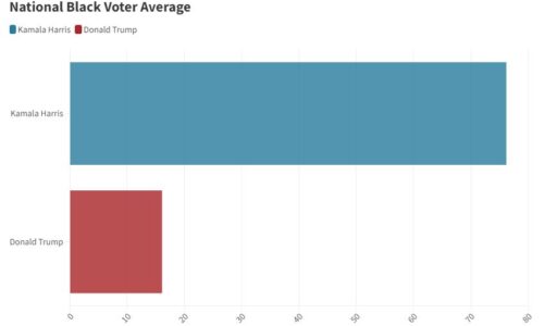 Presidencialet në SHBA/ Harris vs Trump, ja si ndahen votat e votuesve me ngjyrë