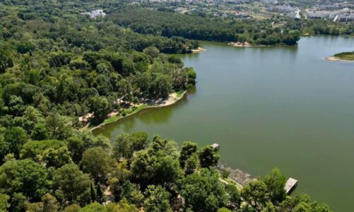 rama poston fotot nga liqeni artificial oazi i qete i tiranes sone