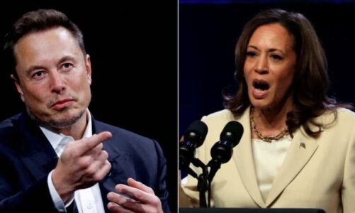 zgjedhjet ne shba elon musk shperthen ndaj kamala harris eshte nje komuniste