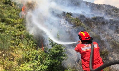 zjarr i permasave te medha ne elbasan sherbimet zjarrfikese po punojne per shuarjen e flakeve