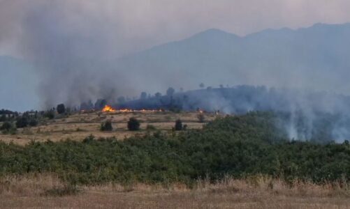 zjarr masiv ne afersi te burrelit nis nderhyrja per venien nen kontroll