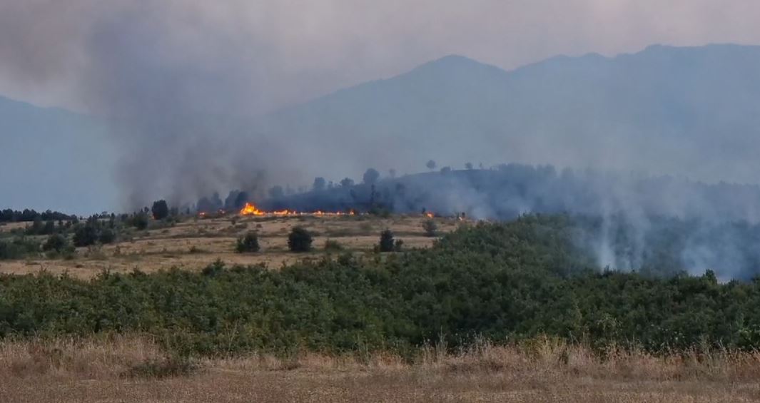 zjarr masiv ne afersi te burrelit nis nderhyrja per venien nen kontroll