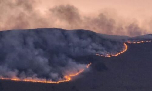 zjarri ne malin e thate ne pustec bie intensiteti i flakeve vatrat te vecuara nga njera tjetra po mbahen