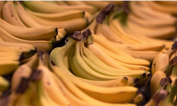 Mbi 40 kg kokainë në paletat me banane, u gjetën në 4 supermarkete