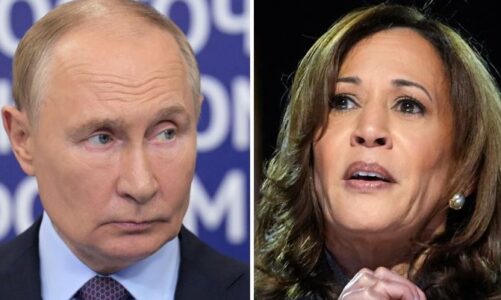 putin doli hapur se mbeshtet kamala harris ne zgjedhjet presidenciale reagon shtepia e bardhe i bejme thirrje mos te nderhyje