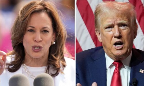 sondazhi trump vs harris ne loje 19 vota elektorale ja kush kryeson ne shtetin kyc