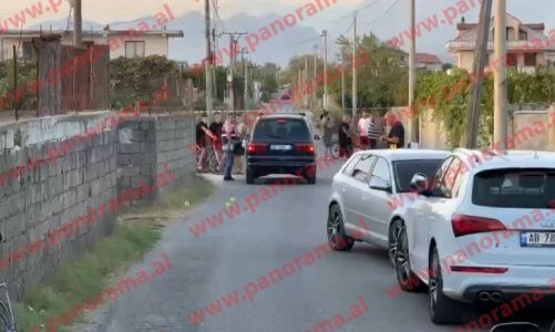 te shtena me arme zjarri ne shkoder mbetet i plagosur nje person autori arratiset nga vendngjarja