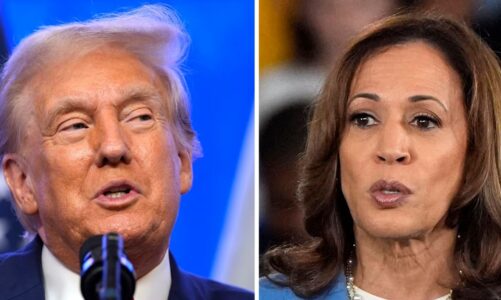 te shtenat me arme zjarri prane trump reagon kamala harris dhuna ska vend ne amerike