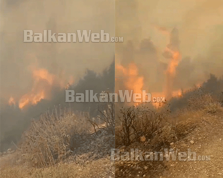 video zjarr ne fshatin sevaster ekipet zjarrfikese nderhyjne me mjete rrethanore