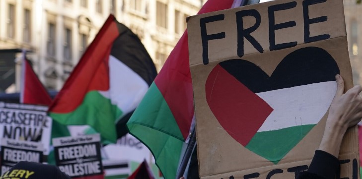 mijera qytetare marshojne ne paris ne solidaritet me palestinezet dhe libanezet