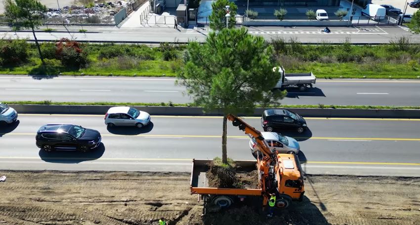 punimet per zgjerimin e autostrades tirane durres veliaj zbulon se ku do te zhvendosen pemet