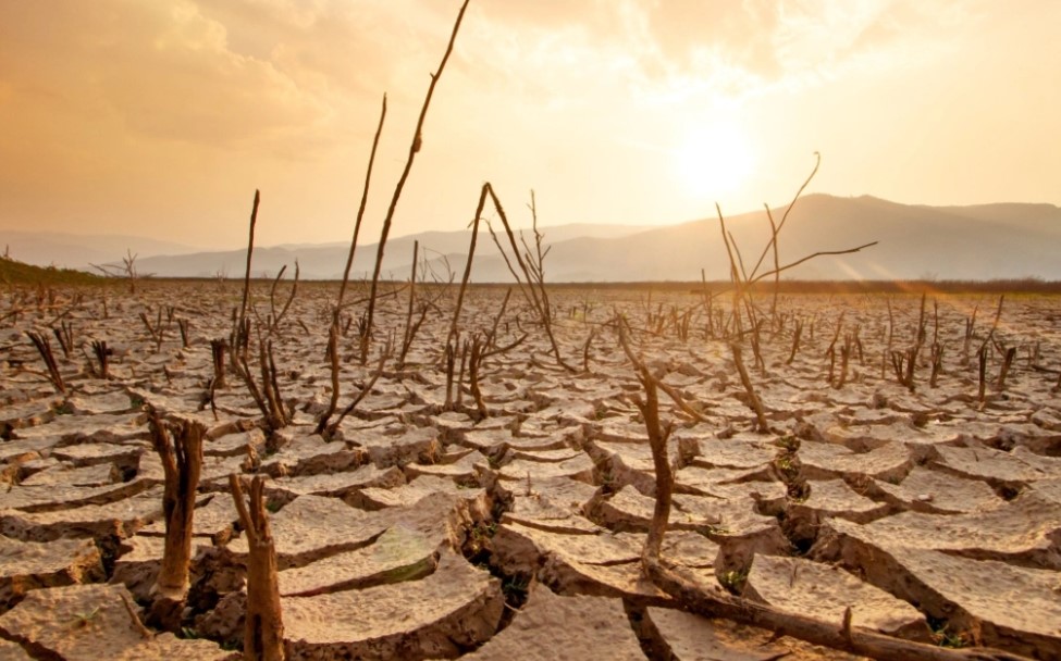 paralajmeron organizata boterore meteorologjike i nxehte rekord gjate 2024 es thirrja e guterres te shmangim rrugen drejt katastrofes