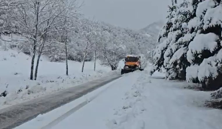 reshje shiu dhe bore ja parashikimi i motit per fundjaven