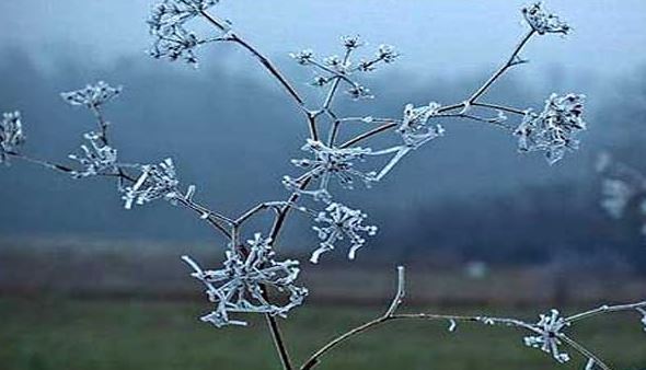 vranesira kalimtare dhe temperatura deri ne 4 c ja si parashikohet moti per diten e sotme